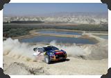 Sebastien Loeb
(Click picture to see larger version in a pop-up window)