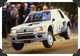 Ari Vatanen
(Click picture to see larger version in a pop-up window)