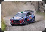Hayden Paddon
(Click picture to see larger version in a pop-up window)