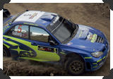 WRC2006
(Click picture to see larger version in a pop-up window)